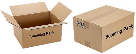 450 safe packaging.jpg